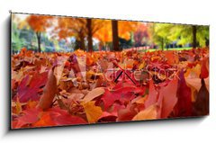 Obraz s hodinami 1D panorama - 120 x 50 cm F_AB95226612 - autumn leaves