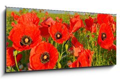 Obraz s hodinami 1D panorama - 120 x 50 cm F_AB95383540 - Poppies