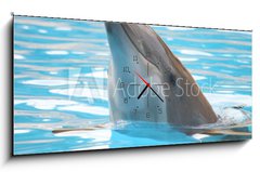 Obraz s hodinami 1D panorama - 120 x 50 cm F_AB95423 - delfín - dolphin