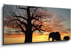 Obraz s hodinami 1D panorama - 120 x 50 cm F_AB9699496 - Group of elephant in africa - Skupina slonů v Africe