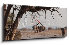 Obraz s hodinami 1D panorama - 120 x 50 cm F_AB98815534 - Elefantenherde verl  sst das Wasserloch  Etosha  Namibia
