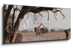 Obraz s hodinami 1D panorama - 120 x 50 cm F_AB98815534 - Elefantenherde verl sst das Wasserloch Etosha Namibia - Elefantenherde verl sst das Wasserloch Etosha Namibie