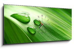 Obraz s hodinami   Close up of green plant leaf, 120 x 50 cm