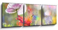 Obraz s hodinami 3D tdln - 150 x 50 cm F_BM100107634 - spring meadow with red poppies