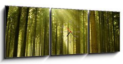 Obraz s hodinami   Pine forest with the last of the sun shining through the trees., 150 x 50 cm
