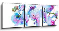 Obraz s hodinami   stem of blue orchids, 150 x 50 cm