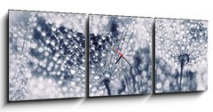 Obraz s hodinami   Plant seeds with water drops, 150 x 50 cm