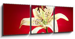 Obraz s hodinami 3D tdln - 150 x 50 cm F_BM10726288 - lily flower