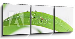 Obraz s hodinami 3D tdln - 150 x 50 cm F_BM107308034 - bubble drop on clover isolated on white