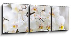Obraz s hodinami   Vibrant holiday background with beautiful close up white orchid flower branch , 150 x 50 cm