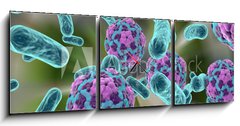 Obraz s hodinami 3D tdln - 150 x 50 cm F_BM110321094 - Bacteria and hepatitis A virus - Bakterie a virus hepatitidy A.