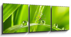 Obraz s hodinami   water drops on the green grass, 150 x 50 cm