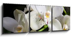 Obraz s hodinami   Orchid flowers over black (Cymbidium sp), 150 x 50 cm