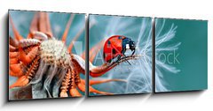 Obraz s hodinami 3D tdln - 150 x 50 cm F_BM121417091 - freedom