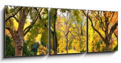 Obraz s hodinami   Park im Herbst in freundlich warmen Farben, 150 x 50 cm