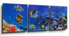 Obraz s hodinami 3D tdln - 150 x 50 cm F_BM122000347 - Sea corals. Panorama - Mosk korly. Panorma