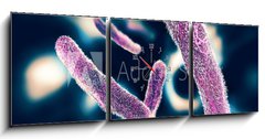 Obraz s hodinami   Shigella Bacteria, 150 x 50 cm