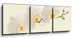 Obraz s hodinami   Large white Orchid flowers in a panoramic image, 150 x 50 cm