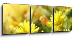 Obraz s hodinami 3D třídílný - 150 x 50 cm F_BM12348665 - Closeup of yellow daisies with warm rays