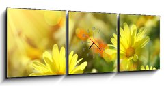 Obraz s hodinami 3D tdln - 150 x 50 cm F_BM12348665 - Closeup of yellow daisies with warm rays