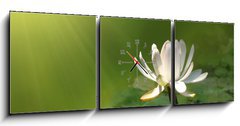 Obraz s hodinami 3D tdln - 150 x 50 cm F_BM12460869 - Lily flower on a green background