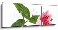 Obraz s hodinami   lilly flower, 150 x 50 cm