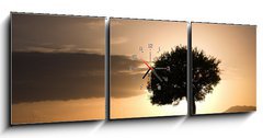 Obraz s hodinami   solitary oak tree in golden sunset, 150 x 50 cm