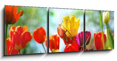 Obraz s hodinami 3D tdln - 150 x 50 cm F_BM12856836 - Tulips