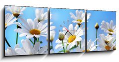 Obraz s hodinami 3D tdln - 150 x 50 cm F_BM13584171 - Flowers