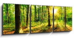 Obraz s hodinami 3D tdln - 150 x 50 cm F_BM137096673 - Wald im Frhling mit Sonne - Les na jae se sluncem