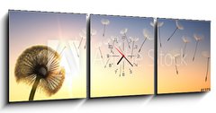Obraz s hodinami 3D tdln - 150 x 50 cm F_BM137387337 - Pusteblume im Sonnenuntergang 1