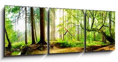 Obraz s hodinami 3D tdln - 150 x 50 cm F_BM139969469 - Idyllischer Wald mit Bach bei Sonnenaufgang