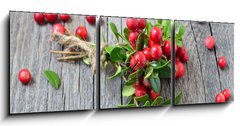 Obraz s hodinami 3D tdln - 150 x 50 cm F_BM141541258 - Bunch of red cowberry