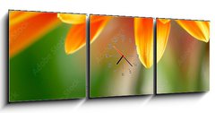Obraz s hodinami 3D tdln - 150 x 50 cm F_BM14392281 - Closeup photo of yellow daisy