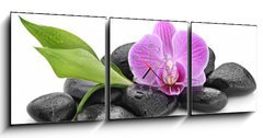 Obraz s hodinami 3D tdln - 150 x 50 cm F_BM144086994 - zen basalt stones ,orchid and bamboo