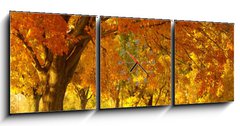 Obraz s hodinami 3D tdln - 150 x 50 cm F_BM1452913 - autumn scene