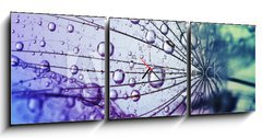 Obraz s hodinami 3D tdln - 150 x 50 cm F_BM146436696 -  dandelion flower background