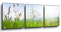 Obraz s hodinami 3D tdln - 150 x 50 cm F_BM14694795 - Grass - Trva