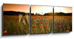 Obraz s hodinami   poppies field, 150 x 50 cm