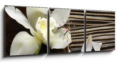 Obraz s hodinami 3D tdln - 150 x 50 cm F_BM14760003 - bowl of orchid, petal on bamboo mat