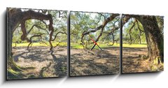 Obraz s hodinami 3D tdln - 150 x 50 cm F_BM147965977 - Panoramic view of Oak Alley Plantation, Louisiana