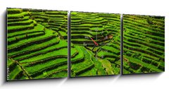 Obraz s hodinami 3D tdln - 150 x 50 cm F_BM149173754 - Batad Rice Terraces in Northern Luzon, Philippines.