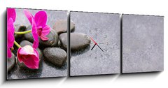 Obraz s hodinami 3D tdln - 150 x 50 cm F_BM150097450 - Pnk orchids and black stones close up.