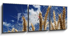 Obraz s hodinami 3D tdln - 150 x 50 cm F_BM15194580 - Wheat