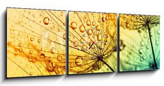 Obraz s hodinami 3D tdln - 150 x 50 cm F_BM153111950 -  dandelion flower background