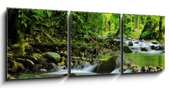 Obraz s hodinami 3D tdln - 150 x 50 cm F_BM15363026 - Mountain stream