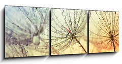 Obraz s hodinami 3D tdln - 150 x 50 cm F_BM155375500 -  dandelion flower background