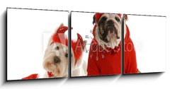 Obraz s hodinami   two devils  bulldog and west highland white terrier, 150 x 50 cm