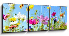 Obraz s hodinami 3D tdln - 150 x 50 cm F_BM157514845 - Blumenwiese