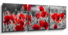 Obraz s hodinami 3D tdln - 150 x 50 cm F_BM158374540 - red poppies, black and white